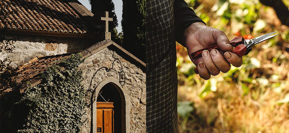 Great wines and liquors made with passion and patience